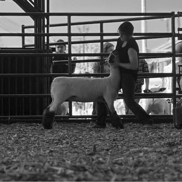 Meet your Posher, Kayla-ann - Picture 2 of 8